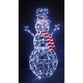 Celebrations LED Cool White 48 in. Lighted Snowman Yard Decor 21DH07221